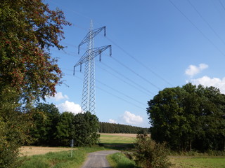 Strommasten mit Wald und Bäumen