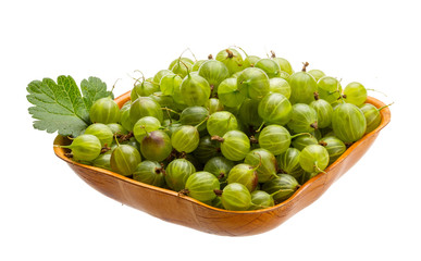 Gooseberry