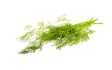 Dill branch