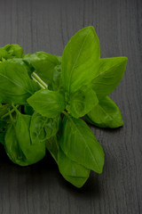 Basil leaves