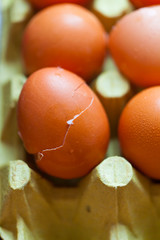 kitchen - to crack an egg