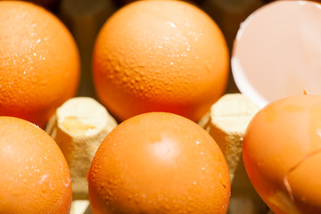 kitchen - to crack an egg