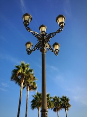 Andalusische Straßenlaterne mit Palmen
