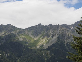 Obraz na płótnie Canvas Los Alpes junto a Chamonix (Francia)