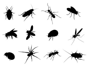 Bug Black Vector Silhouettes Illustration