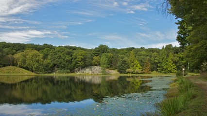 Fototapeta na wymiar Reflection on the Lake
