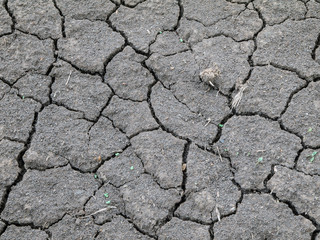 Black dry land