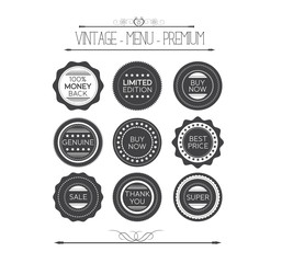 Set of retro vintage badges and labels