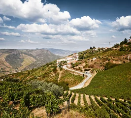 Foto op Canvas Beautiful rural landscape in the Douro region, Portugal © acnaleksy