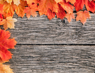 Naklejka na ściany i meble yellow wet autumn leaves on the background a dark old wood