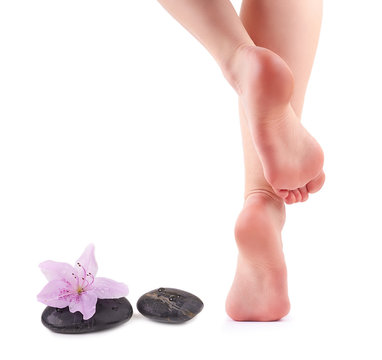 Female feet and Spa stones with spa flower