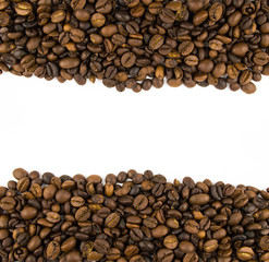 two rows of coffee beans