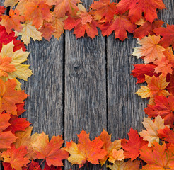 Naklejka na ściany i meble Autumn leaf on wooden boards background