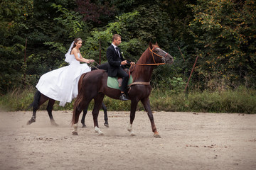 wedding couple on horses