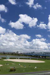 荒川河川敷　千住新橋付近