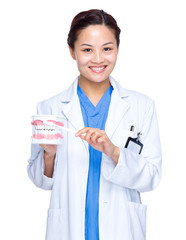 Dentist hold with denture and toothbrush