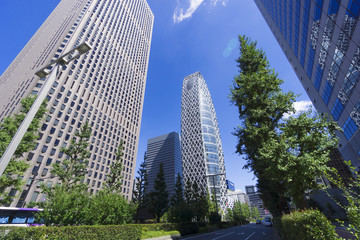 快晴青空と緑の　新宿高層ビル街を見上げる