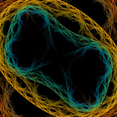 Symmetrical growth of bacteria