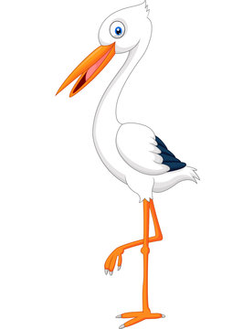 Cute stork cartoon posing