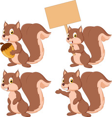 Cute carton squirrel collection set © tigatelu