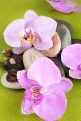 Composition with orchid flowers and stones in water