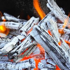 bonfire, fire, wood coal and ash