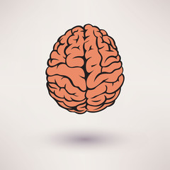 Brain icon. On the white background. Vector illustration.