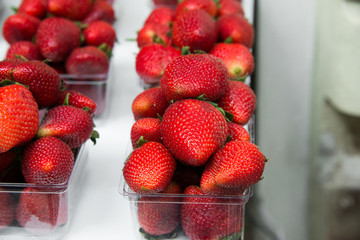 Strawberries in boxes as healthy food on sale
