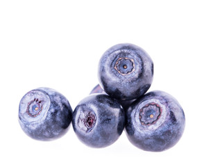 blueberry berry