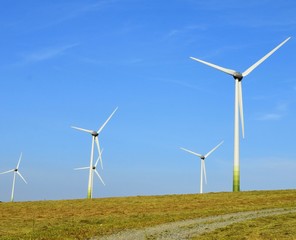 Wind park