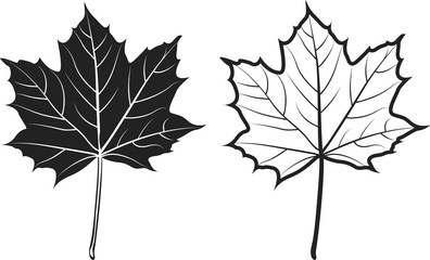 Feuilles érable pictos