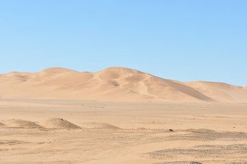 Fototapeta na wymiar Dune 7 in the Namib desert