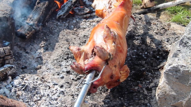 Spanferkel dreht sich