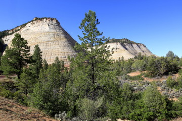 Checkerboard Mesa , Zion