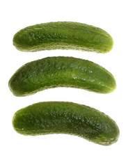Gewürzgurken