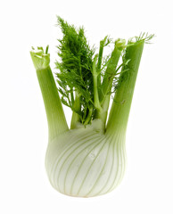 fenchel