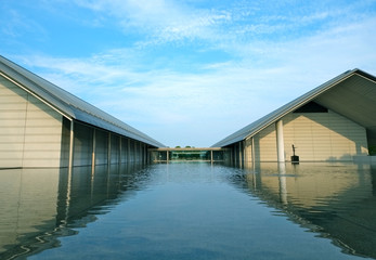 佐川美術館　水庭