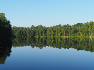 Fototapeta premium forest lake. karelia