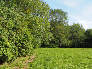 park in autumn