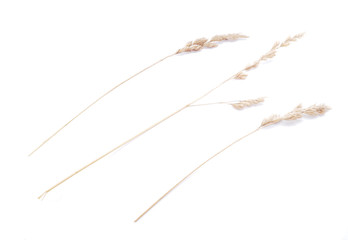 dry cereals on a white background