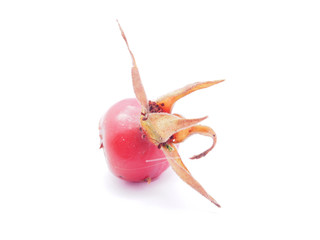 rose hips on a white background