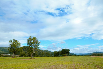 Obraz premium mountain panorama