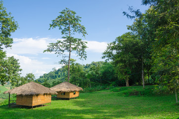 Plakat Two bamboo hut in hut in green meadow