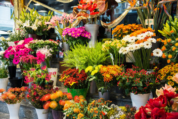 Obraz premium Street flower shop with colourful flowers