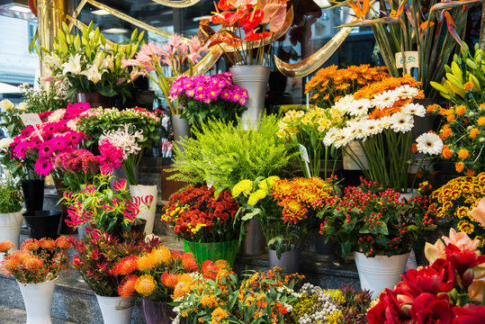 Fototapeta Street flower shop with colourful flowers