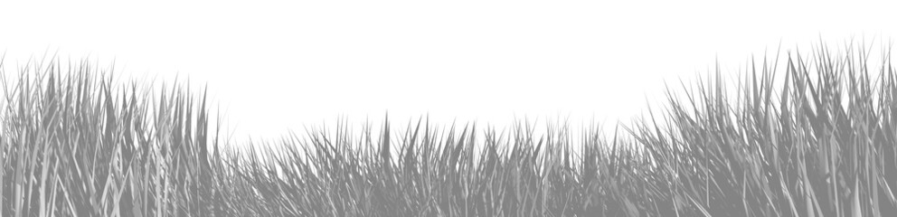 grass abstract background