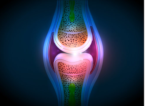 Synovial joint anatomy abstract bright design