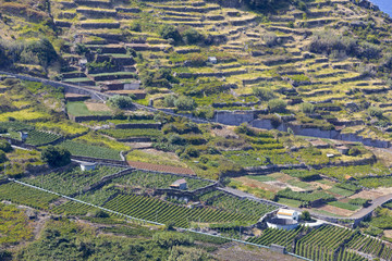 Landwirtschaft auf der Insel Madeira, Portugal