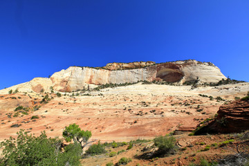 Fototapeta na wymiar Zion national Parc