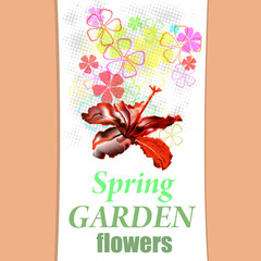 Flowers abstract background.Vector